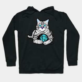 Gray Tabby Cat With Yarn Hoodie